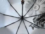Зонт  женский складной Style арт. 1511-8_product