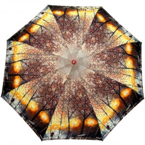 Красивый женский зонт с осенним пейзажем, полуавтомат, Rain Brella, арт.190-2