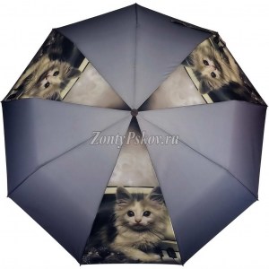 Зонт женский с котом Amico, полуавтомат, арт. 122-2