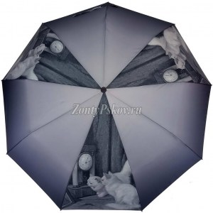 Женский зонт с котами Amico, полуавтомат, арт. 122-3
