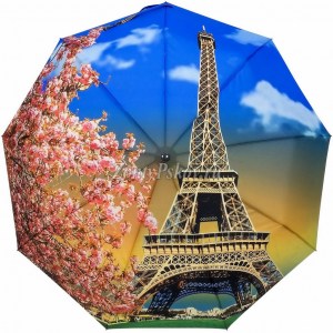 Зонт с Парижем, Amico, автомат, арт.5652 5