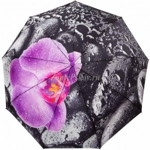 Атласный зонтик с орхидеей, полуавтомат, Zicco, арт.2285-3