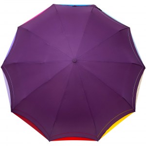 Сиреневый зонт Радуга, Robin, автомат, арт.3024-1