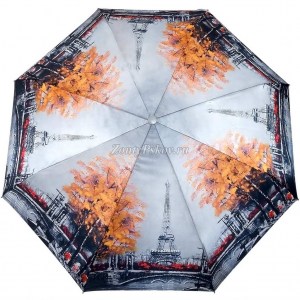 Зонт серебристый с пейзажем, Diniya, автомат, арт.969