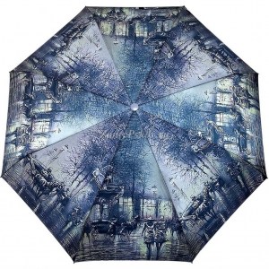Женский зонт с пейзажем, Diniya, автомат, арт.969-3