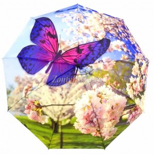 Стильный зонтик с бабочкой, полуавтомат, Amico, арт.6106-3