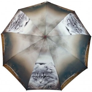 Стильный зонт с котиком Popular, полуавтомат, арт. 1236-2