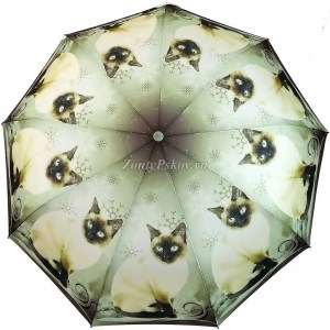 Прекрасный зонт с котом Popular, полуавтомат, арт. 1236-3