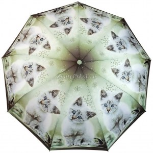 Красивый зонт с котенком Popular, полуавтомат, арт. 1236-6