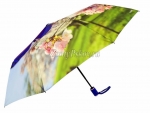 Зонт женский Amico, арт.6106-3_product
