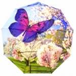 Зонт женский Amico, арт.6106-3