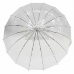 Зонт  женский трость Shine SH-04290-1_product_product_product_product_product