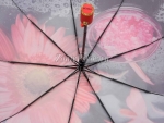 Зонт женский Zicco, арт.2285-2_product