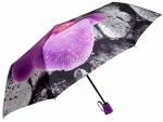 Зонт женский Zicco, арт.2285-3_product