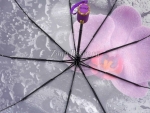 Зонт женский Zicco, арт.2285-3_product