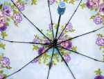 Зонт  женский Lantana, арт.690-7_product