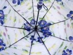Зонт  женский Lantana, арт.690-10_product