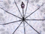 Зонт женский Amico, арт.072-5_product