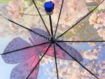 Зонт  женский River арт.6105-3_product