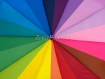 Зонт  женский Zicco, арт.2345_product