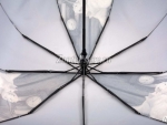 Зонт  женский Amico 122-3_product