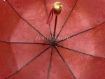 Зонт  женский Zicco, арт.2055_product