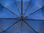 Зонт  женский Zicco, арт.2055-1_product