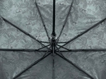 Зонт  женский Zicco, арт.2055-2_product