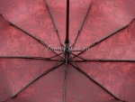 Зонт  женский Zicco, арт.2055-4_product_product