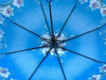 Зонт  женский складной Style art. 1501-2-5_product