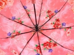Зонт  женский Lantana, арт.658-10_product