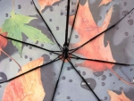 Зонт женский Diniya, арт.164-1_product