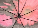 Зонт женский Diniya, арт.164-3_product