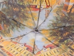 Зонт женский Amico, арт.1314-2_product