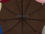 Зонт  женский River арт.3023-5_product
