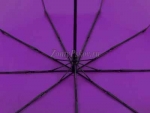 Зонт женский Zicco, арт.2992-11_product