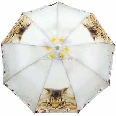 Зонт  женский Popular 1236_product_product
