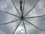 Зонт  женский Popular 1236-2_product