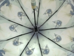 Зонт  женский Popular 1236-3_product