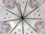 Зонт  женский Popular 1236-4_product