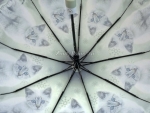 Зонт  женский Popular 1236-6_product