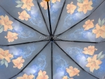 Зонт  женский Zicco, арт.2140_product