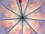 Зонт  женский Zicco, арт.2140-1_product