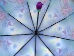 Зонт  женский Zicco, арт.2140-2_product