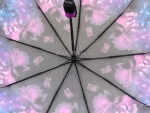 Зонт  женский Zicco, арт.2140-3_product