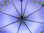 Зонт  женский складной Style art. 1501-2_product