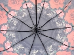 Зонт женский Zicco, арт.2022-5_product