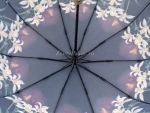 Зонт женский Zicco, арт.2022-6_product