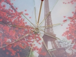 Зонт женский трость Amico, арт.4356_product