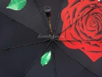 Зонт  женский автомат Sponsa, арт.10307_product